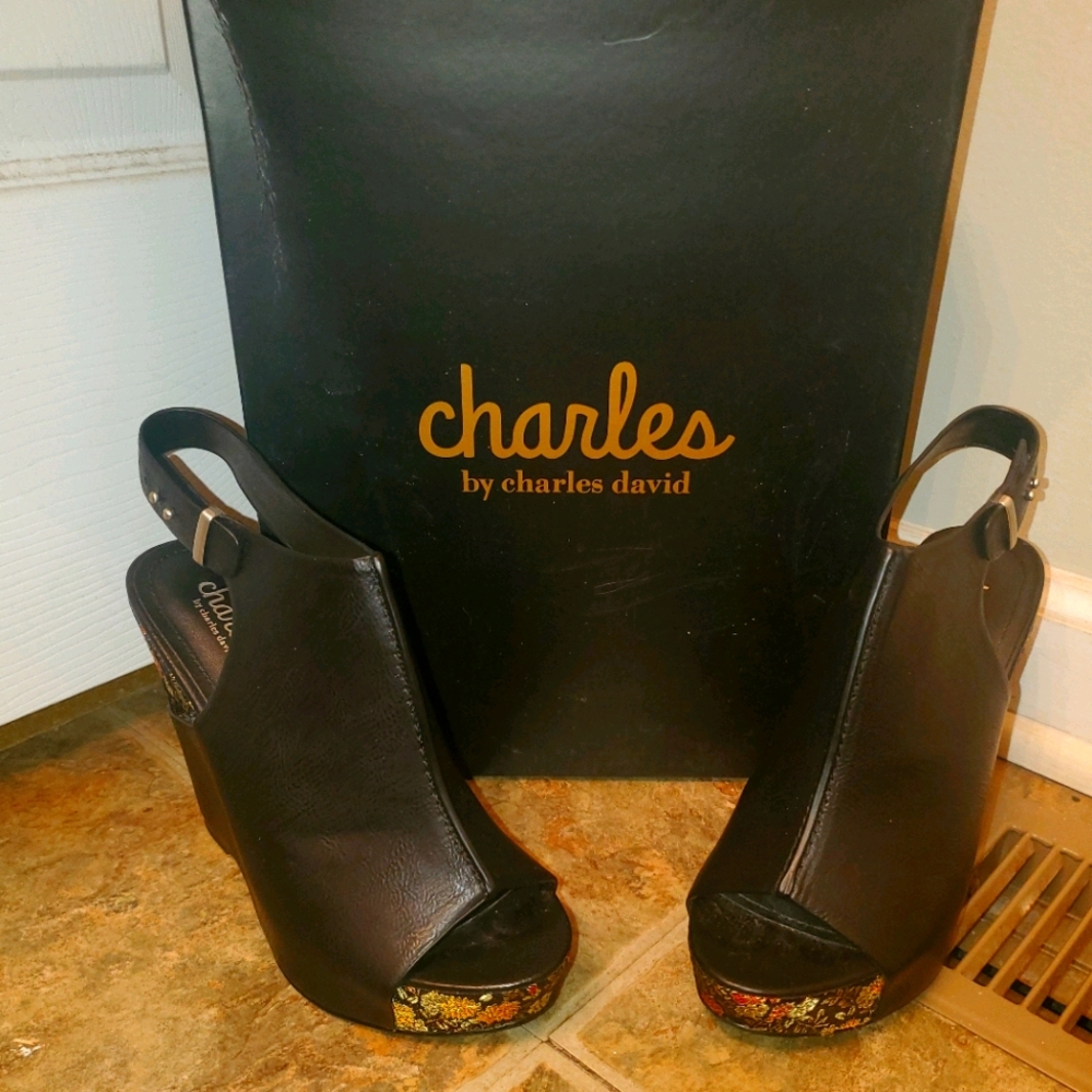 Charles by charles david
